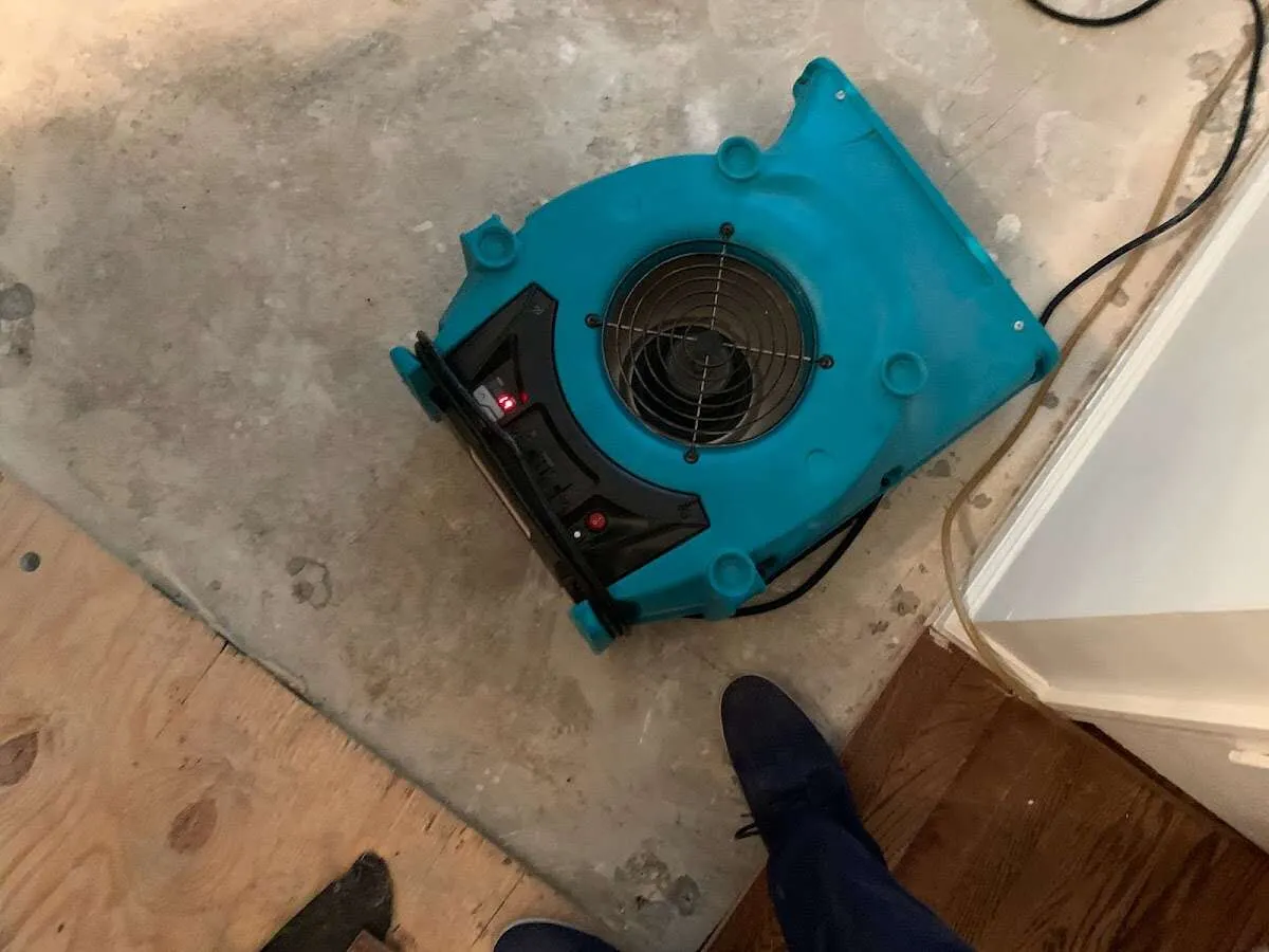 Air mover drying subfloor during Commercial Water Damage Restoration in Cameron Park